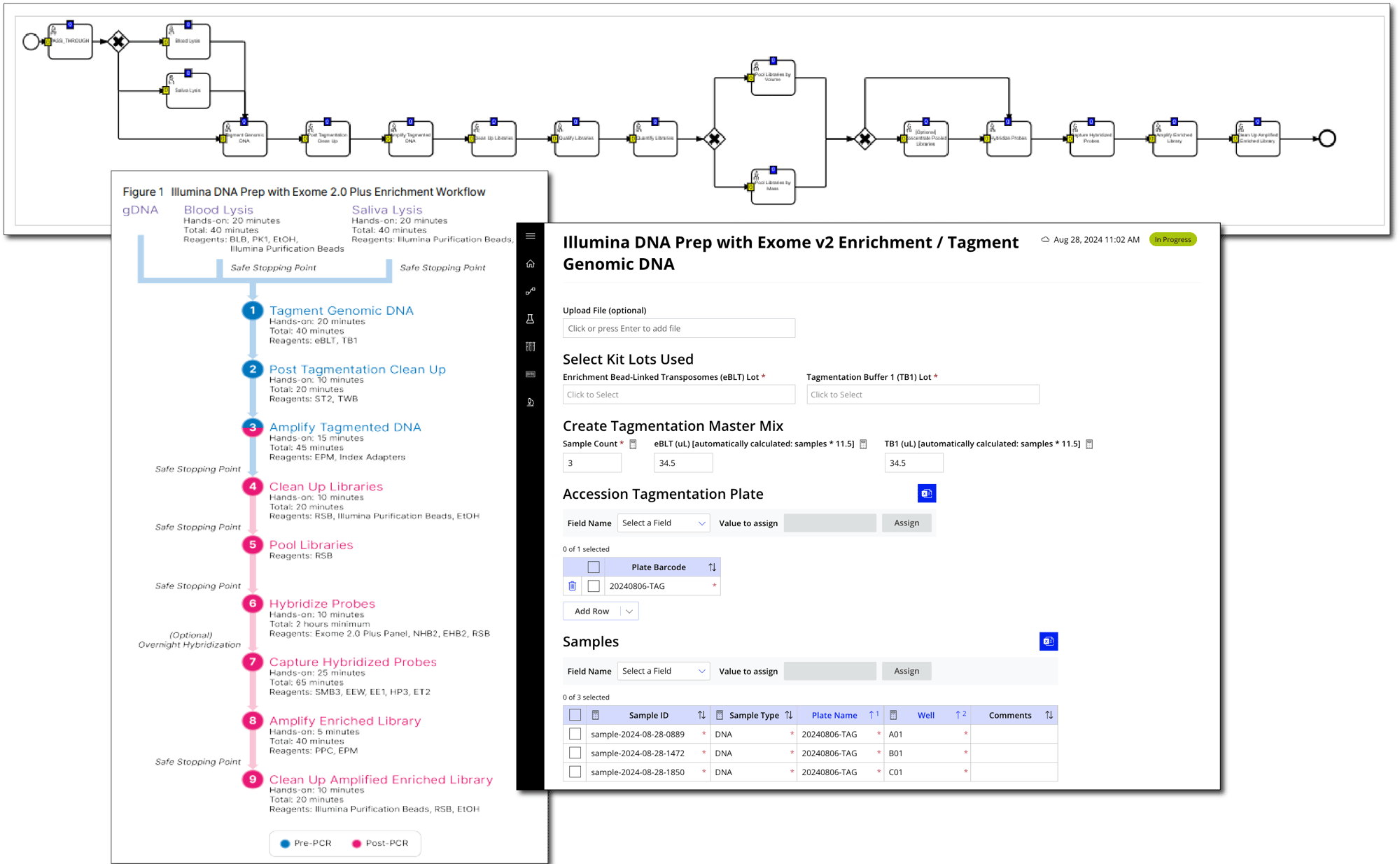 Illumina-DNA-Exome-Plus