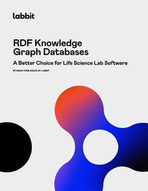 RDF Knowledge Graph Databases white paper preview